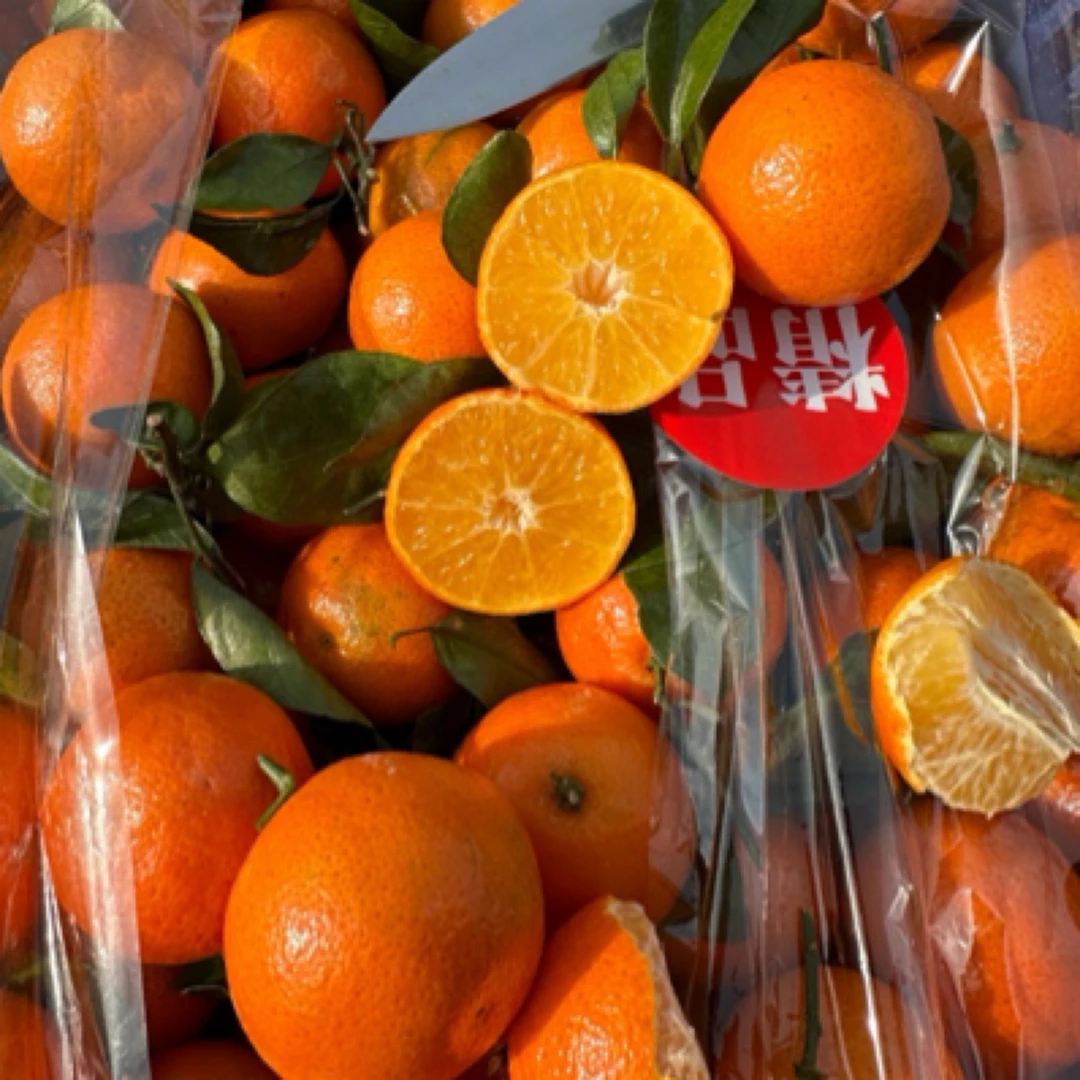 砂糖橘中大果5斤（不打退酸 自然成熟带一分果酸）