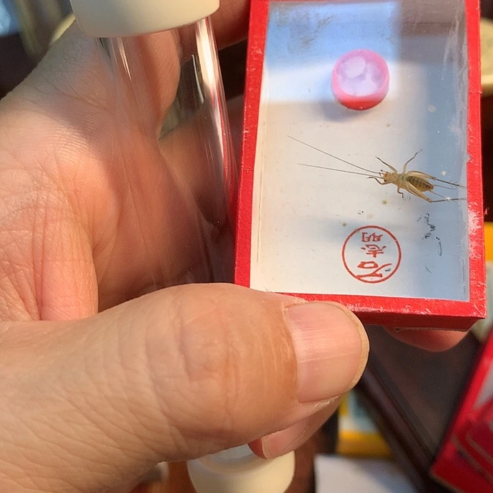 7151拍组合套装大黄筒子