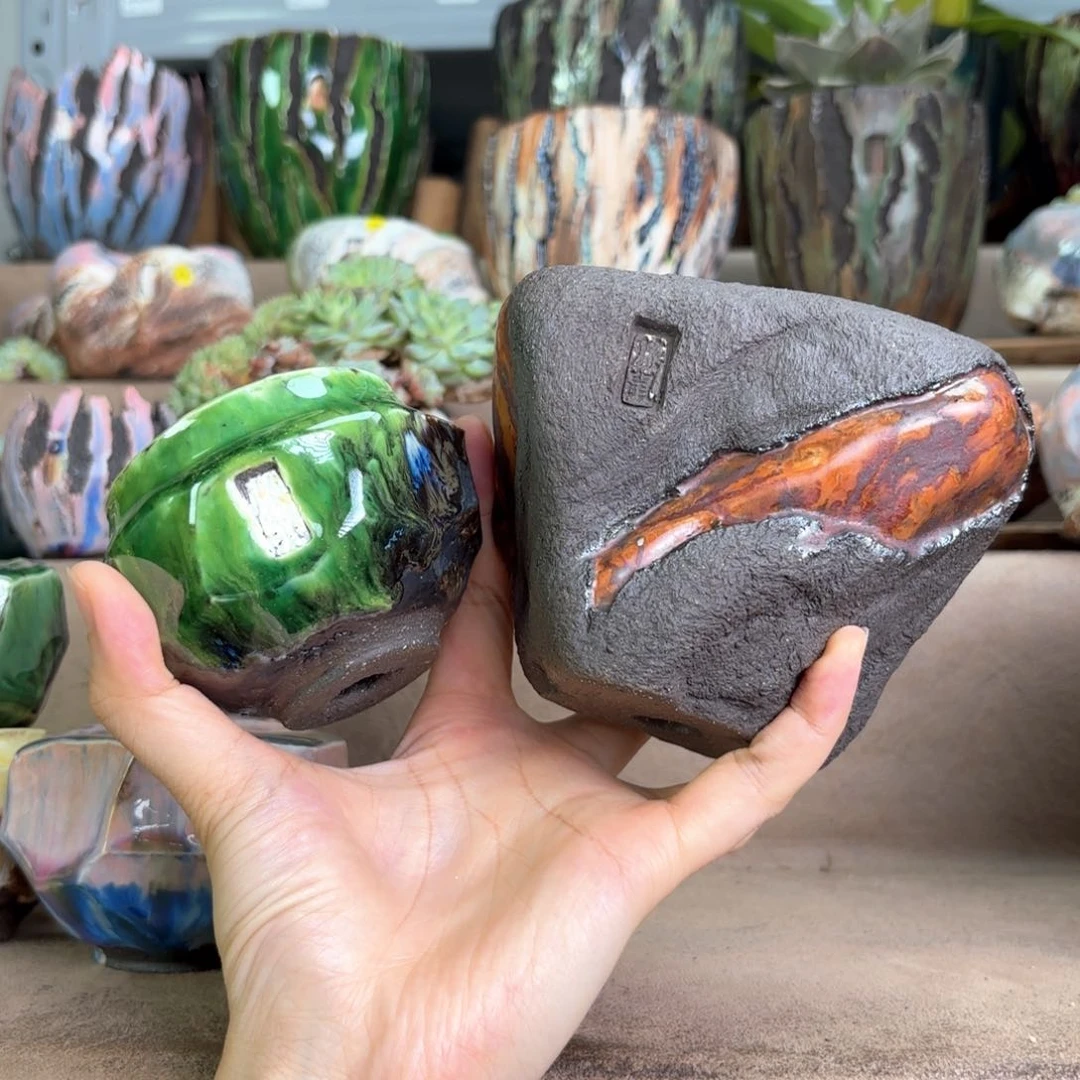 小妞组合两只专拍