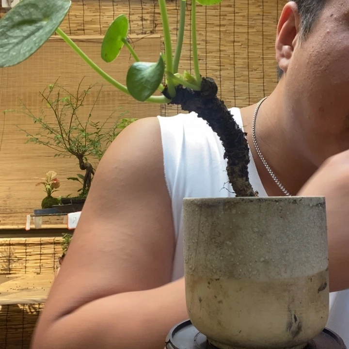 一物一拍所见即所得544