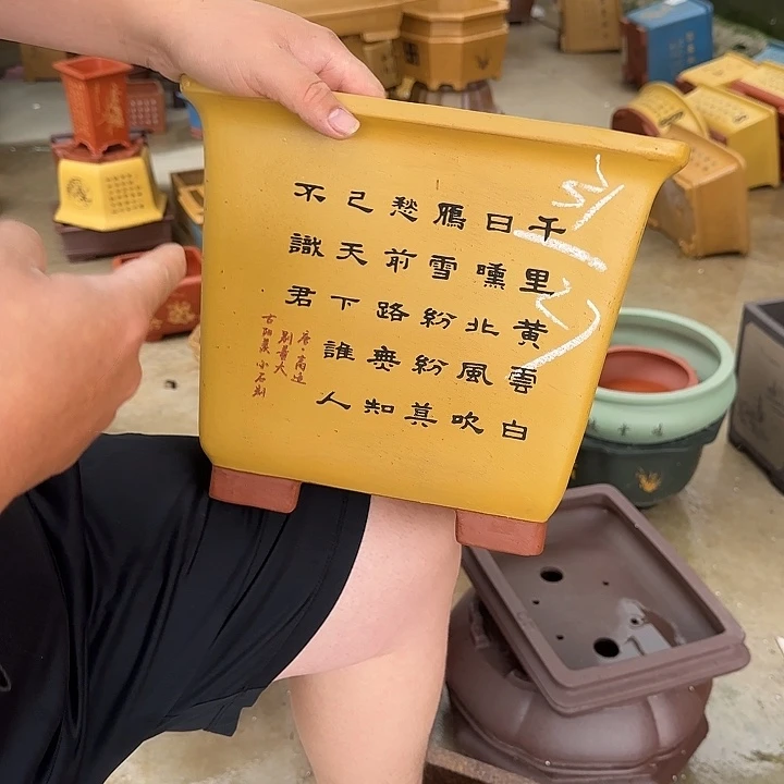 紫砂花盆这是我第一