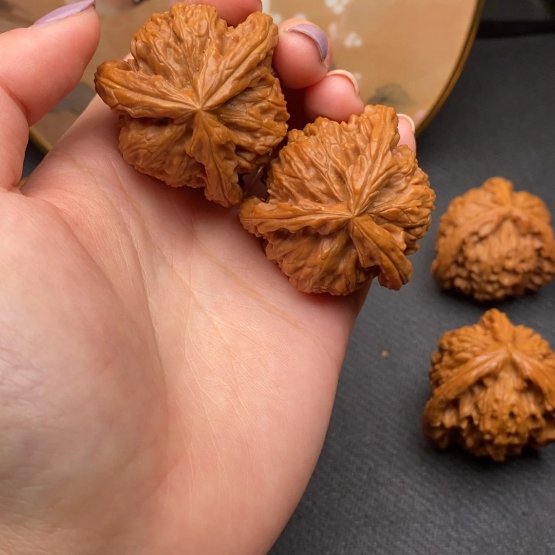 刘***6白狮子11111111111