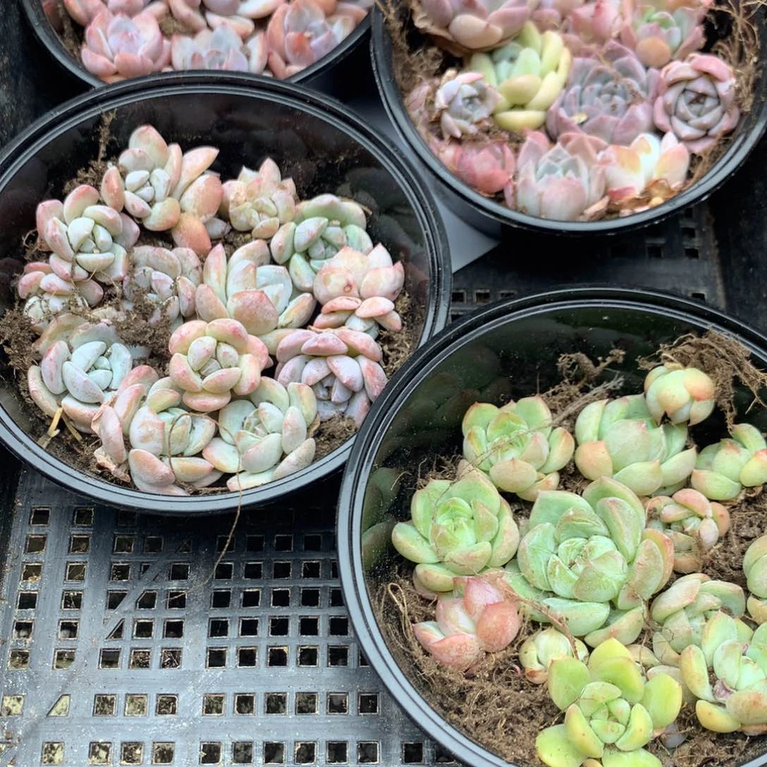 23 23 23 23 23 23 23 23 23