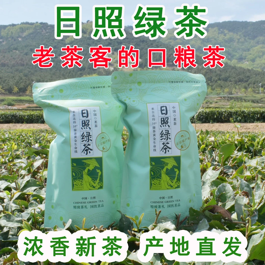 2025年新茶正宗日照绿茶耐冲泡滋味浓郁板栗香足经济山东日照绿茶