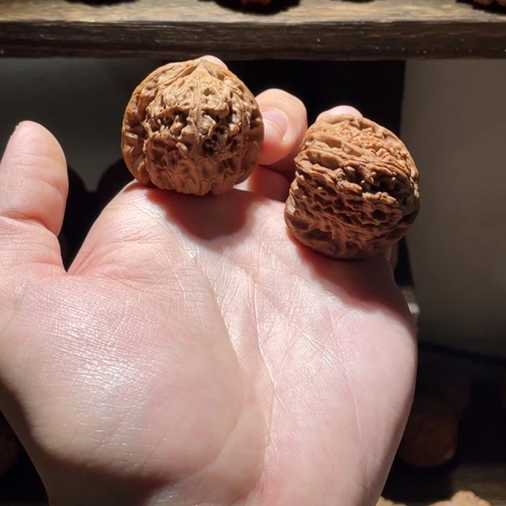 文玩核桃把件38全品白狮子19.9闪