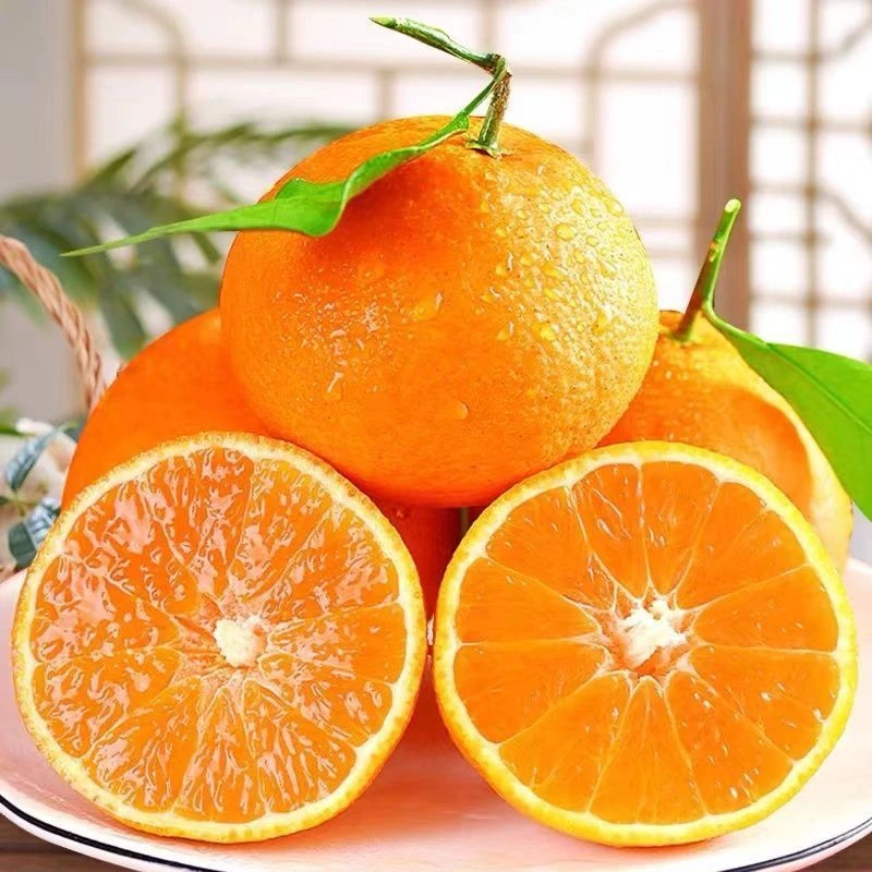 【苗苗专属】四川美味套袋爱媛果冻橙 新鲜现摘 坏果包赔 5斤/8斤装