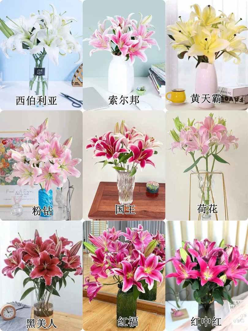 【花王朝甄选】特价香水百合/元旦预热  任意2单鲜花升级快递