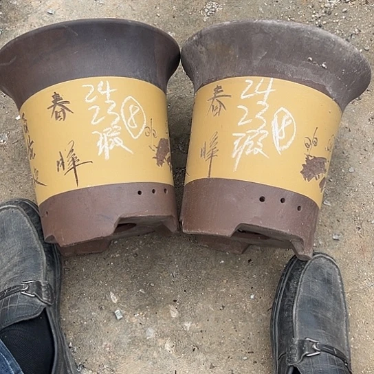 紫砂工艺厂……紫砂工艺厂……