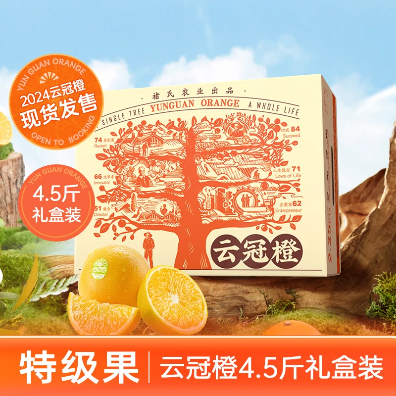 云冠橙褚氏农业出品 云南冰糖橙  特级XL果4.5斤橙子水果礼盒