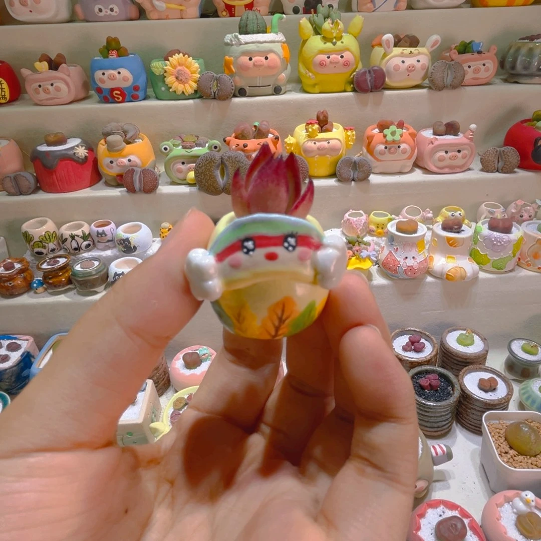 022高端多肉带盆带土手工盆