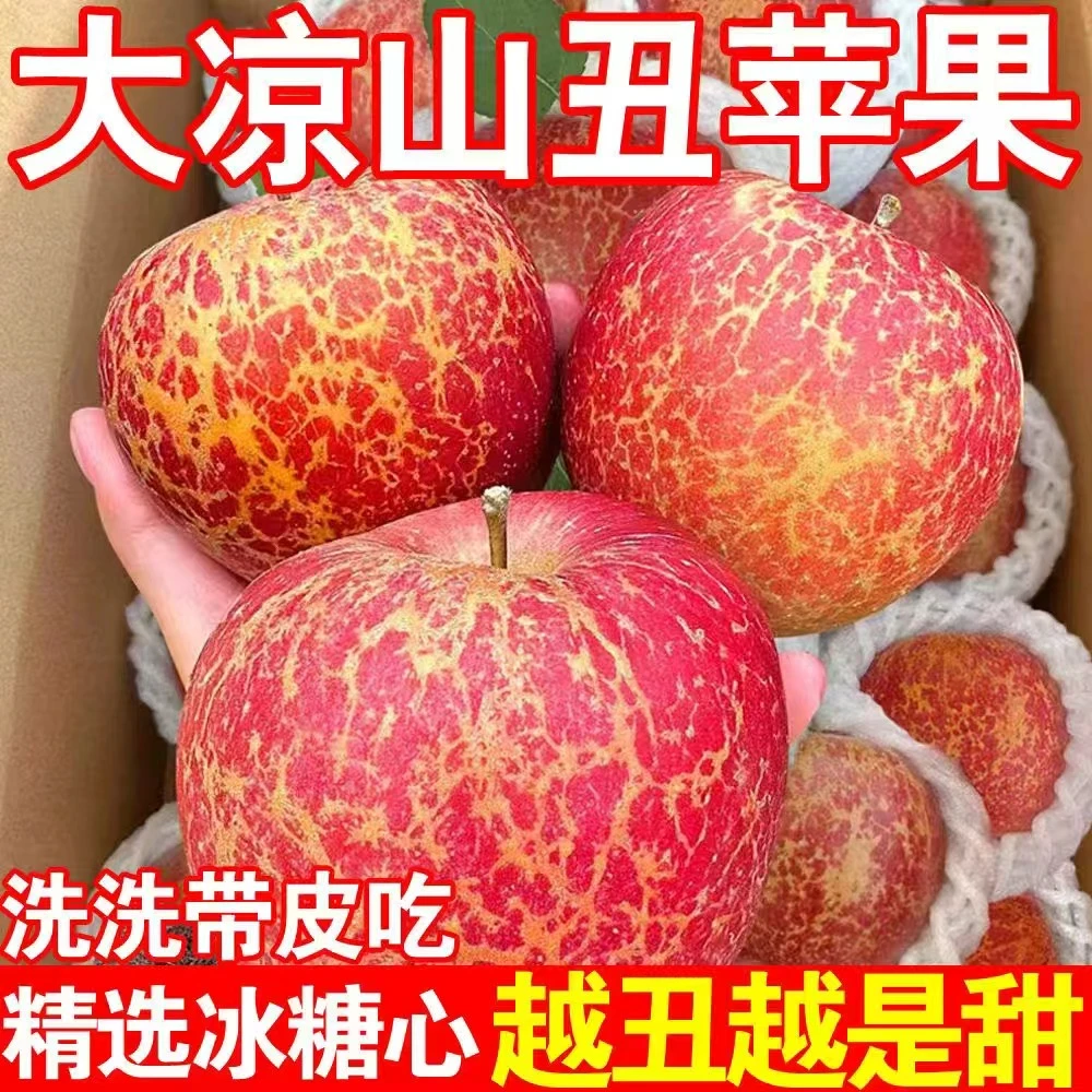 【现摘现发】大凉山盐源糖心丑苹果当季新鲜水果现摘2025年盐源新果
