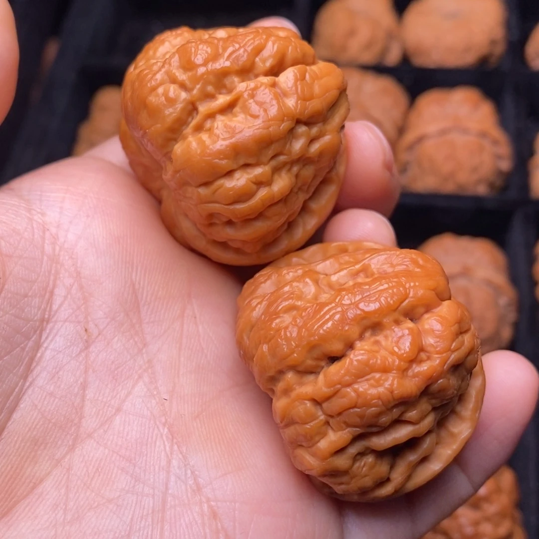 秦岭野生文玩核桃