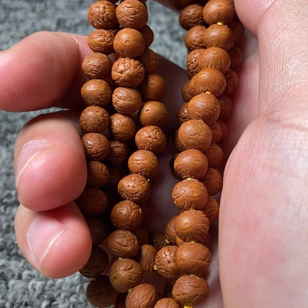 草珠菩提手串酸枣核