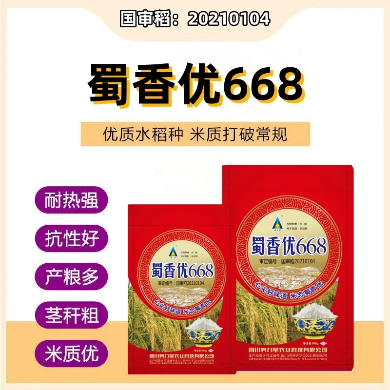 蜀香优668高产杂交水稻种子长粒香米水稻种子浓香型长粒水稻谷种