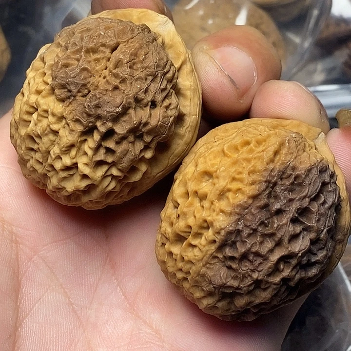 文玩核桃把件云南铁核桃11