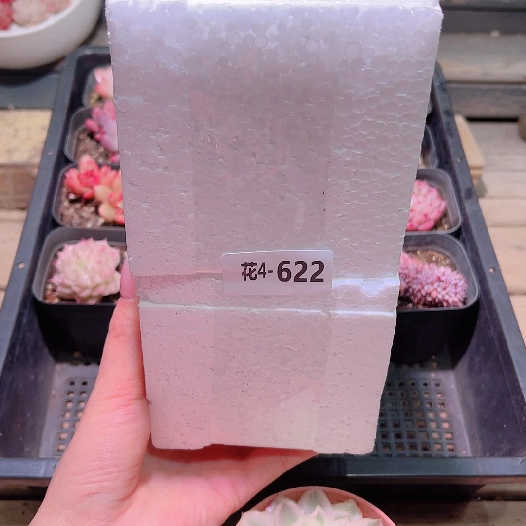 花利美4-622花盆2个