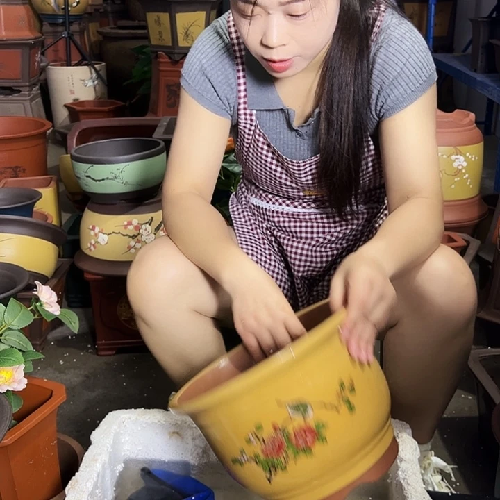 黄色鸟语花香大号花盆花盆花盆