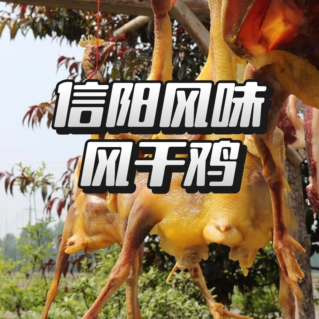 【信阳风干鸡】信阳两年以上老母鸡/活鸡三斤半以上/晒干一斤八两