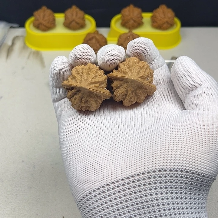 核桃核桃等经济作物和蔬菜的