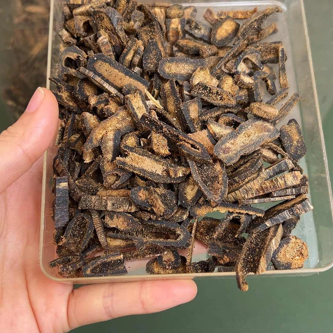 摆件沉香虫漏碎料30克多样性发一条