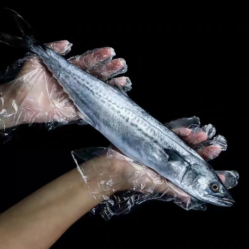 新鲜海捕燕鲅鱼去刺鲅鱼块