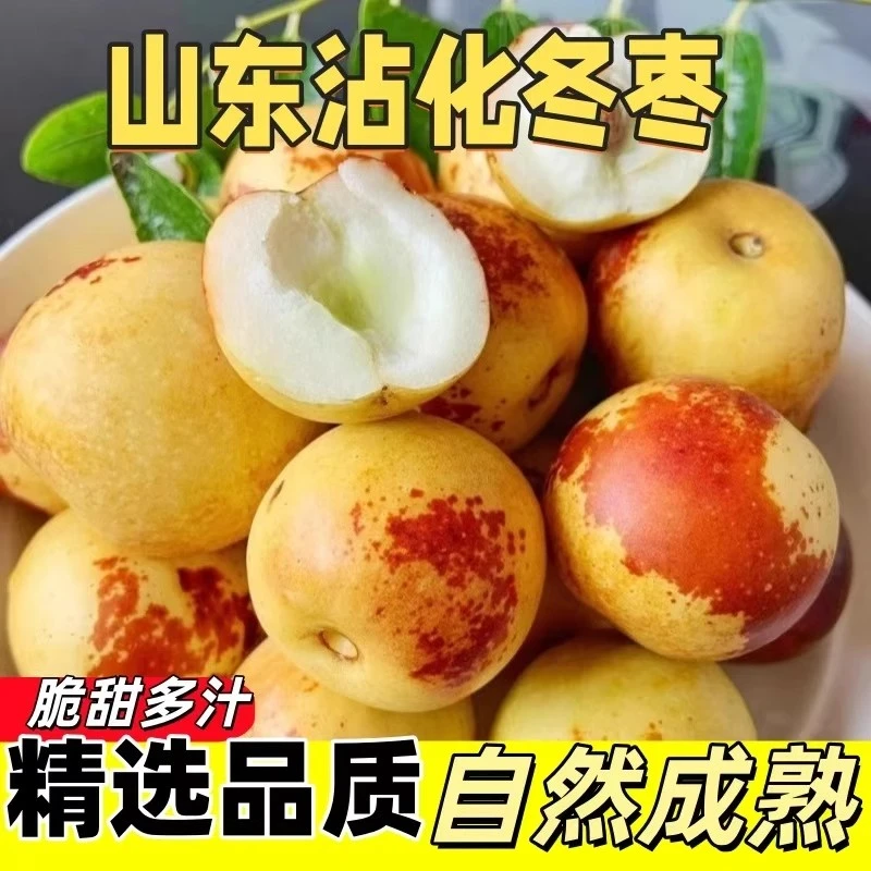 山东沾化冬枣 新鲜大枣鲜枣脆枣 当季水果整箱