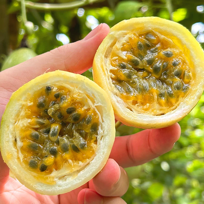 顺丰包邮广西钦蜜9号黄金百香果新鲜现摘香甜好吃3斤装