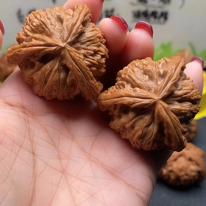 核桃40拼接白狮子