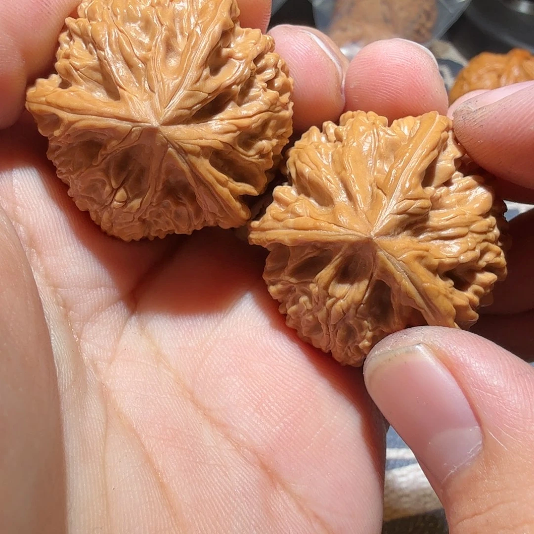 文玩核桃把件御龙