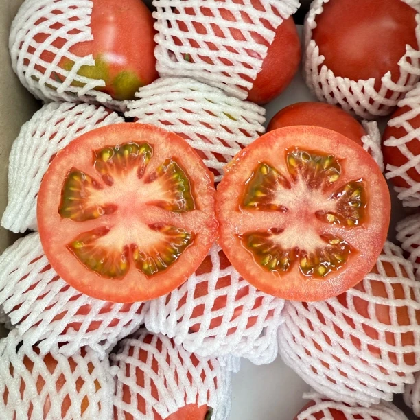 新鲜采摘草莓西红柿 分装 约5斤 现货现发