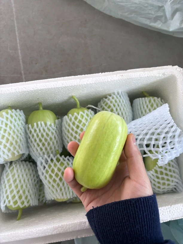 金童玉女小黄瓜寿光直发顺丰包邮