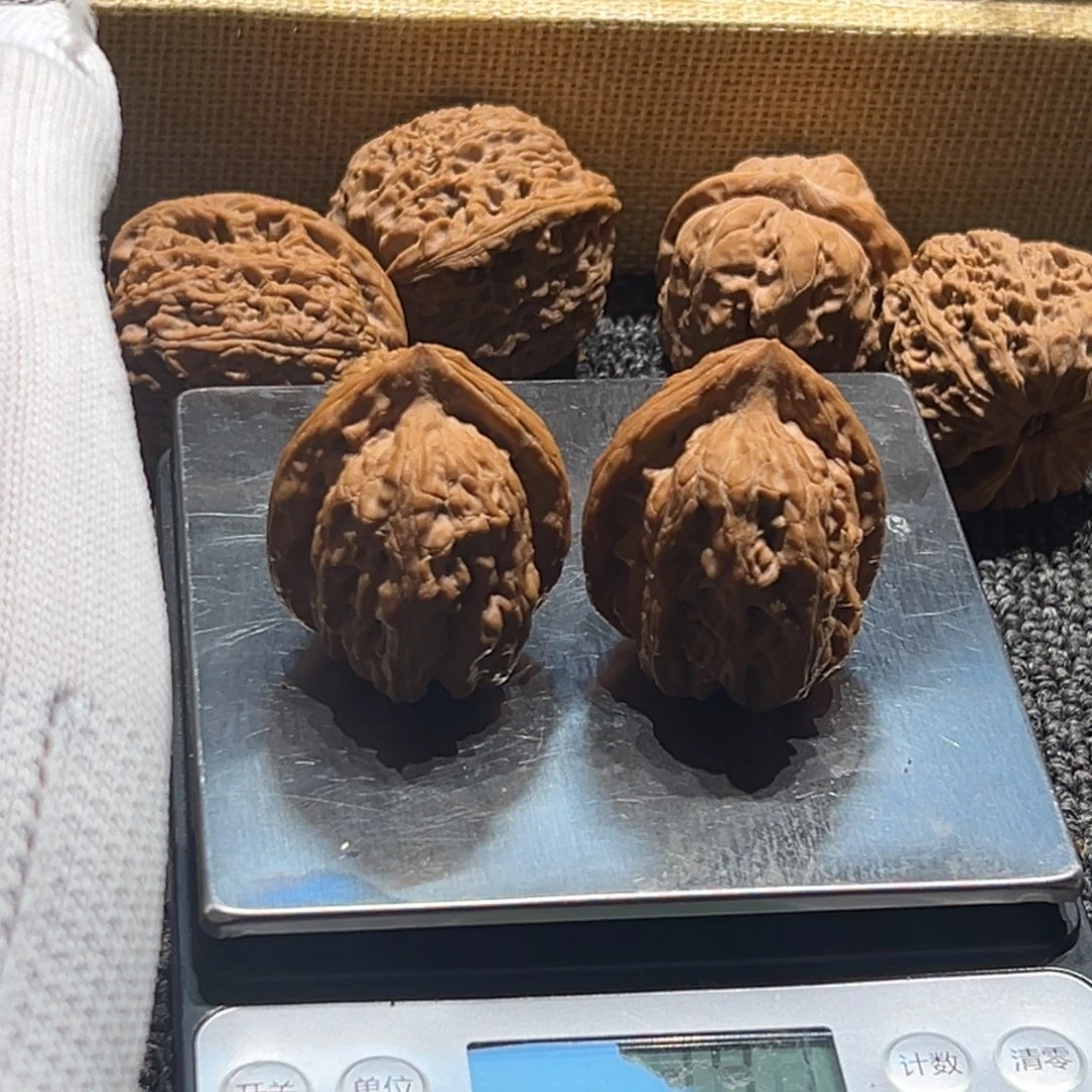观***舍核桃赤龙鸡心9号链接