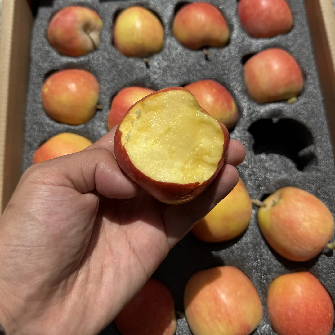 产地直发-新疆小火箭小苹果 20个装 个头小 脆苹果