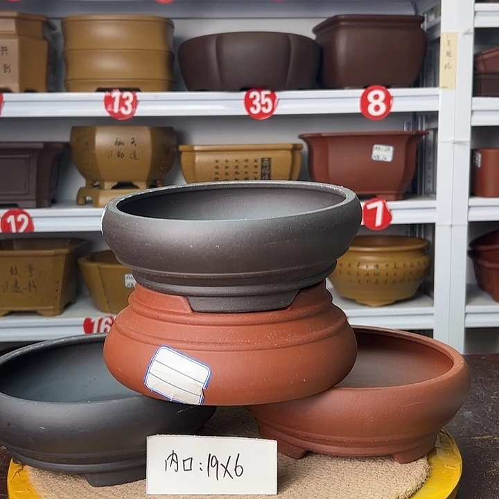 花盆紫砂蛇年大吉