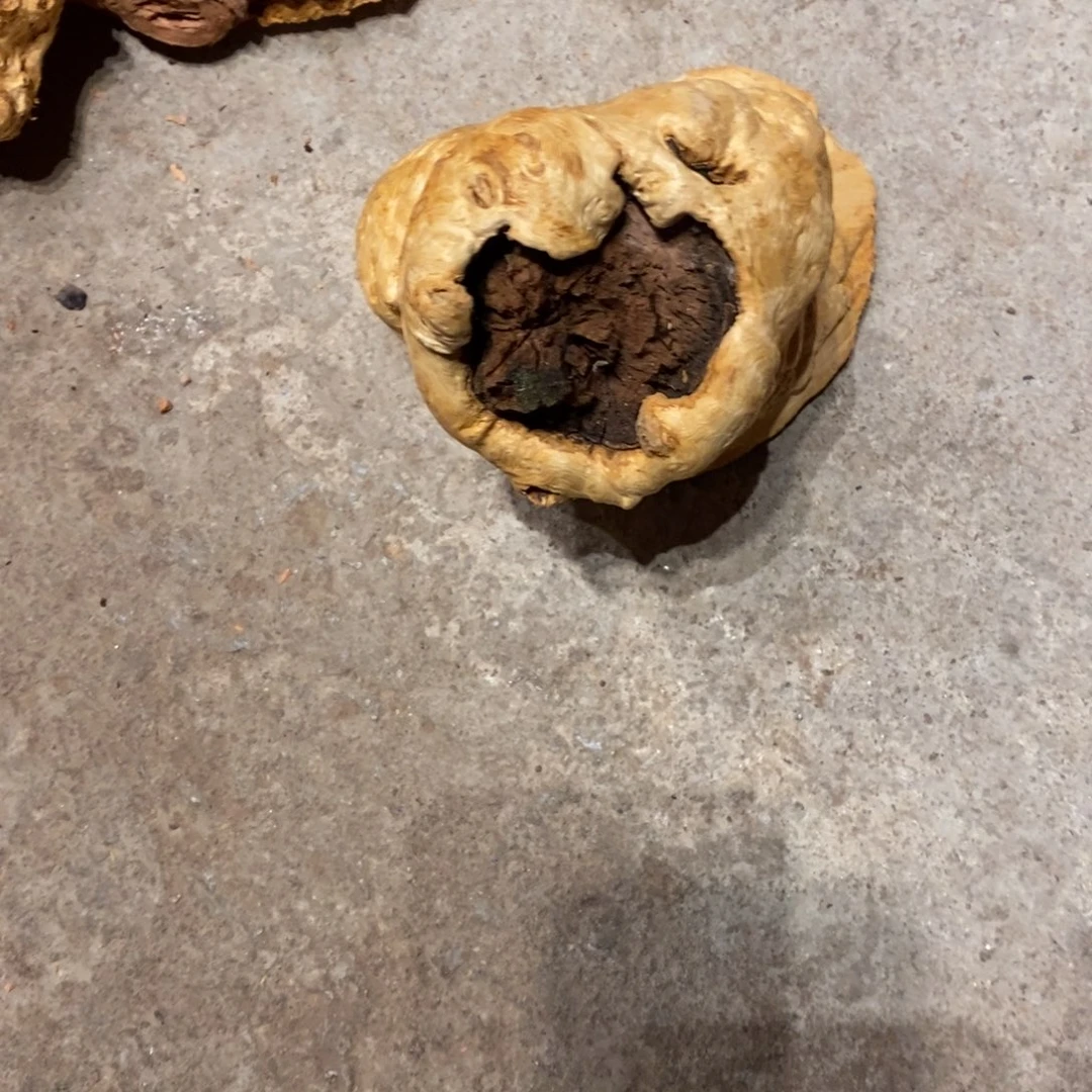 小***4荔枝木随形木材一个