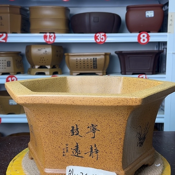 花盆紫砂你在一起