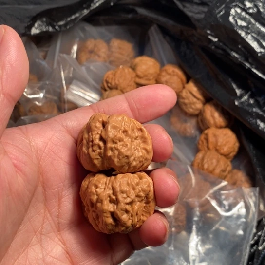 思***锜文玩核桃把件哈哈哈