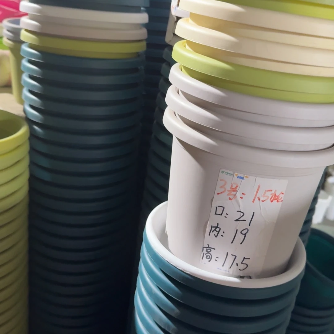 四季3#口径21带拖果绿10套