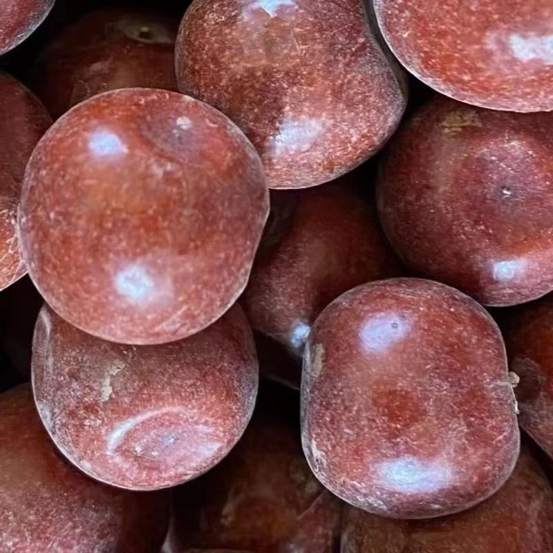 新疆特产大酸枣干酸甜可口树上吊干天然零食500g甜酸酸枣干泡水