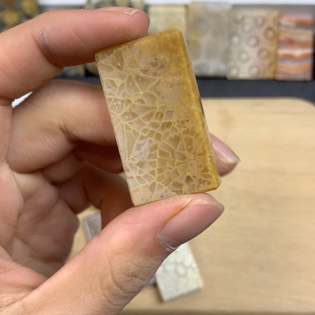 *****硅化珊瑚（珊瑚玉）未镶嵌五