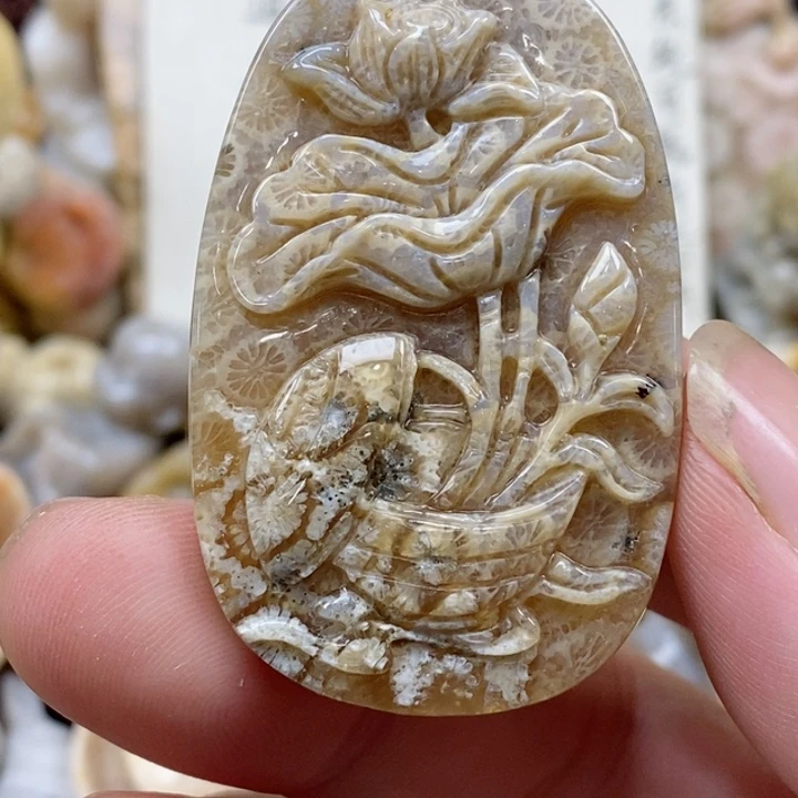 颈饰未镶嵌硅化珊瑚（珊瑚玉）有瑕