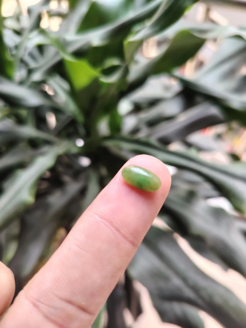 缅甸天然翡翠黄加绿蛋面