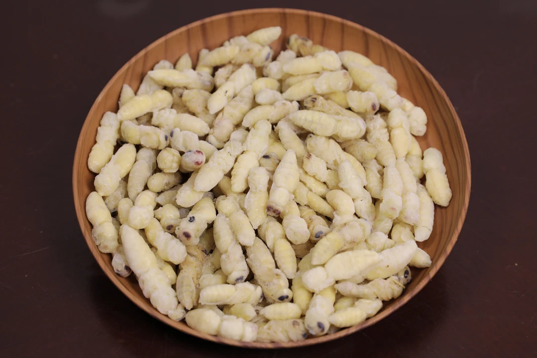 金环虎头蜂二级野生蜂蛹新鲜冰冻