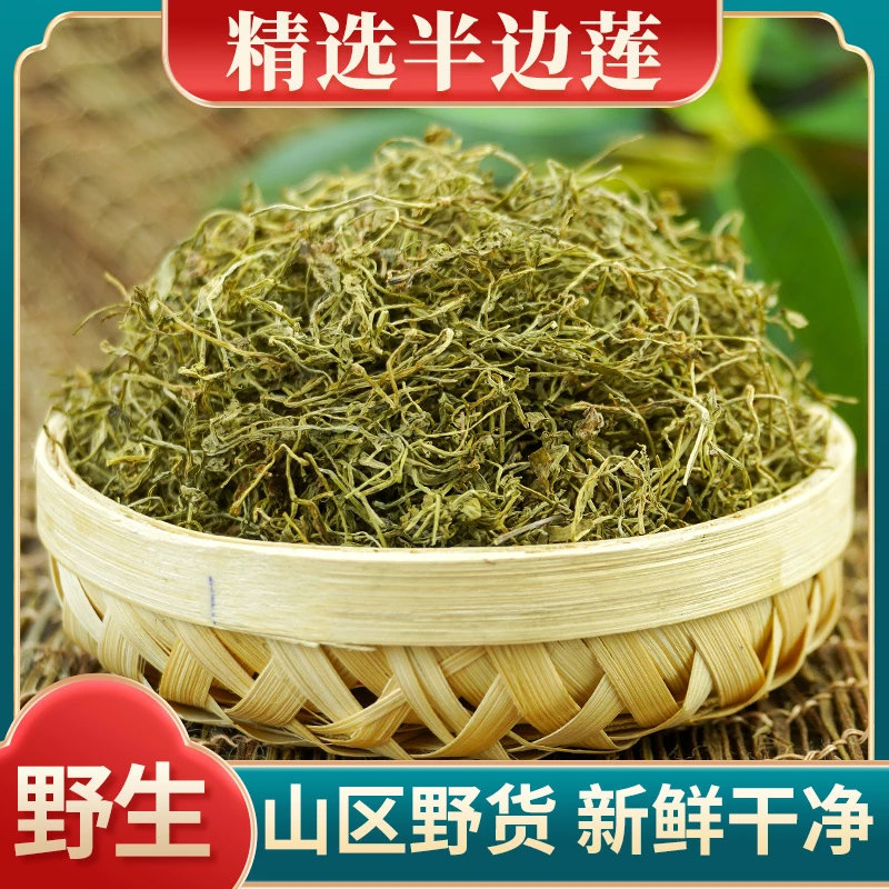 半边莲中药材50g精选新货新鲜干货半边莲茶泡水中药材店铺大全