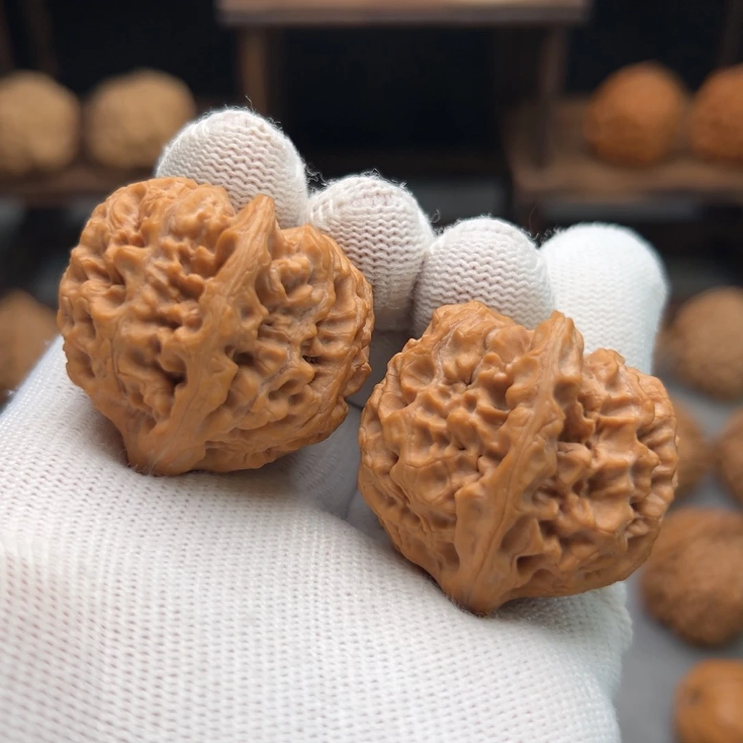 桃核把件太行龙纹36.37.36