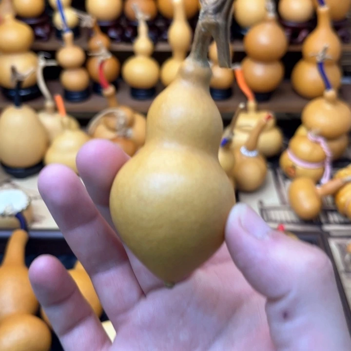胖肚大蚂蚁厚皮响籽2