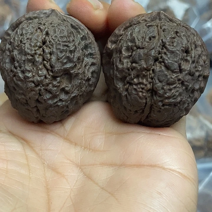 文玩核桃把件云南铁核桃基地49
