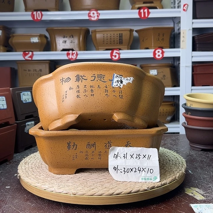 紫砂花盆蛇年大吉