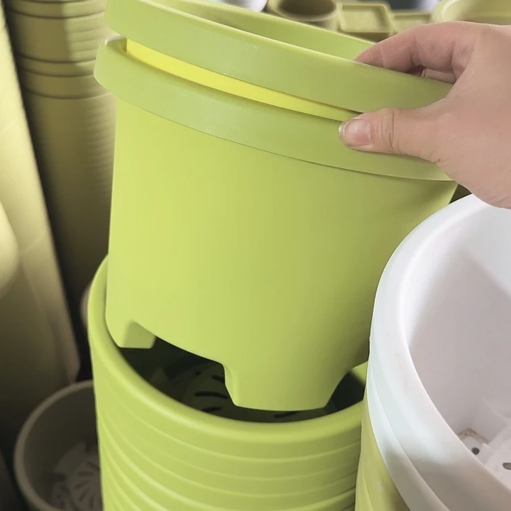 球根26口径果绿6个无托