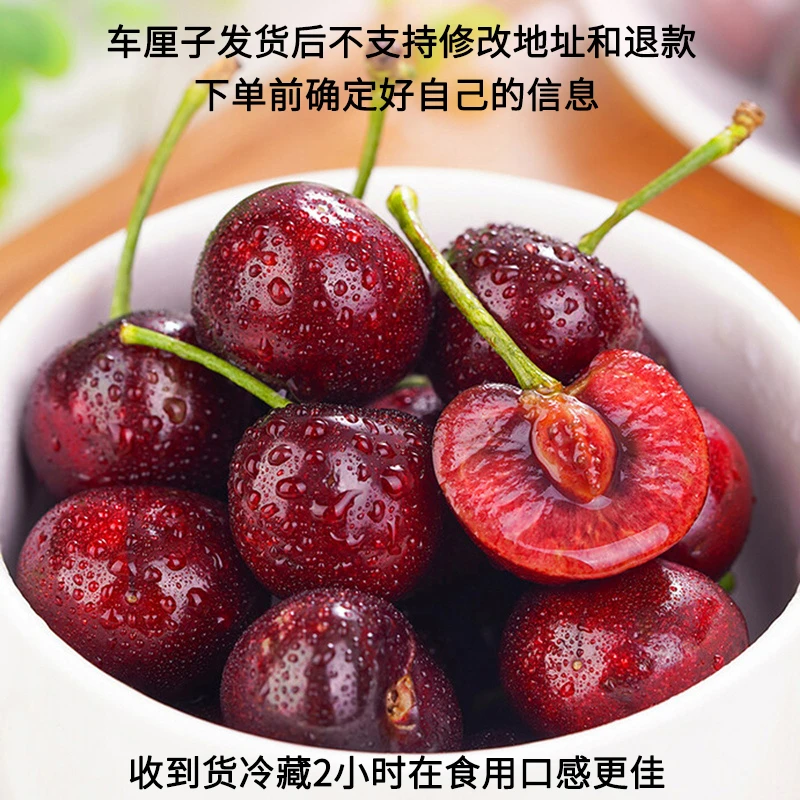 【顺丰快递】智利车厘子Kordia（科迪亚）海运5斤装JDD 内附果径卡